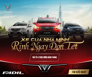 VinFast Fadil (cột phải)