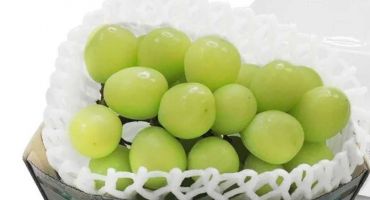 Nho mẫu đơn quý tộc biến thành giá bèo thế nào?